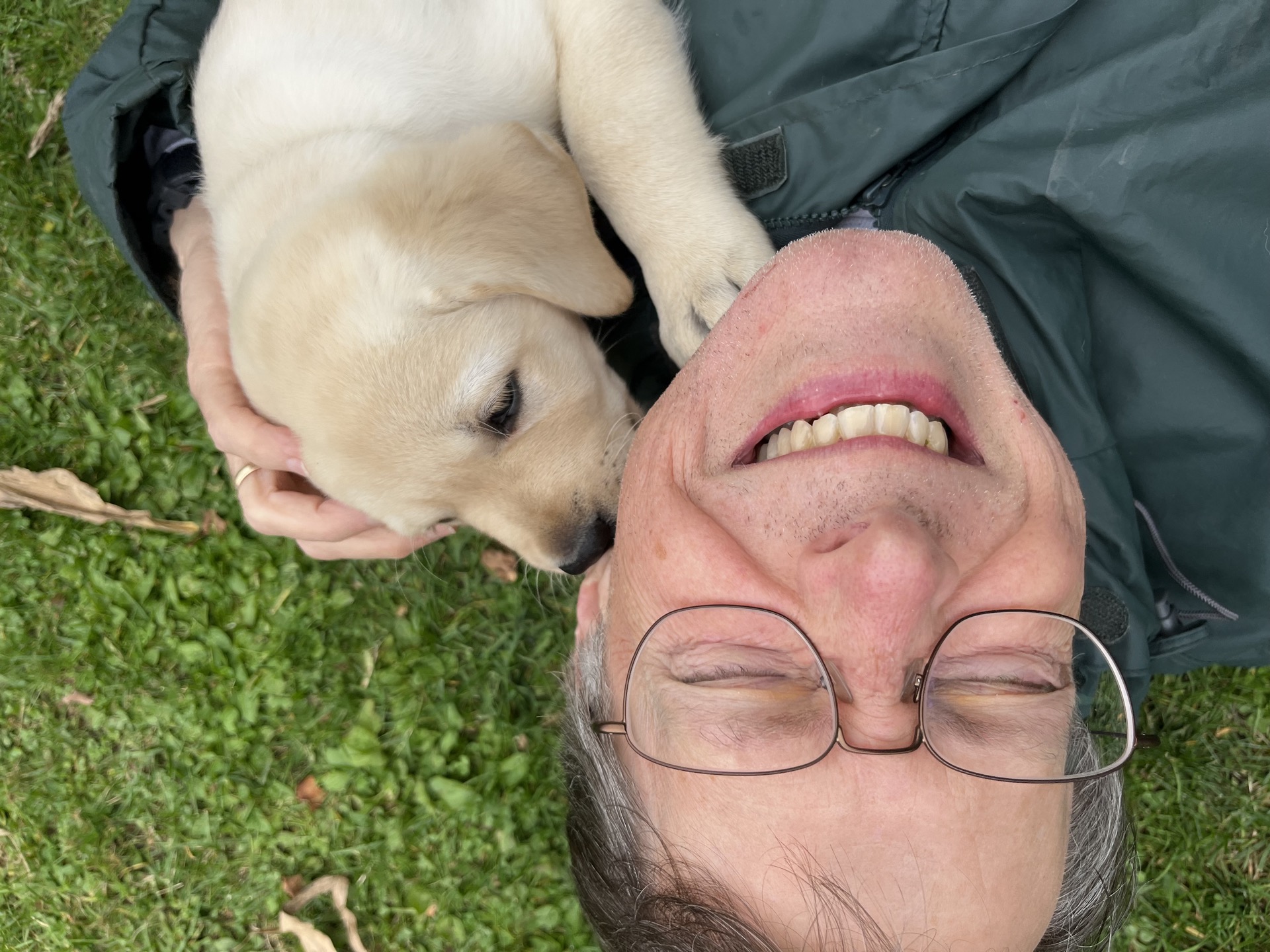 Ross with English Labrador puppy